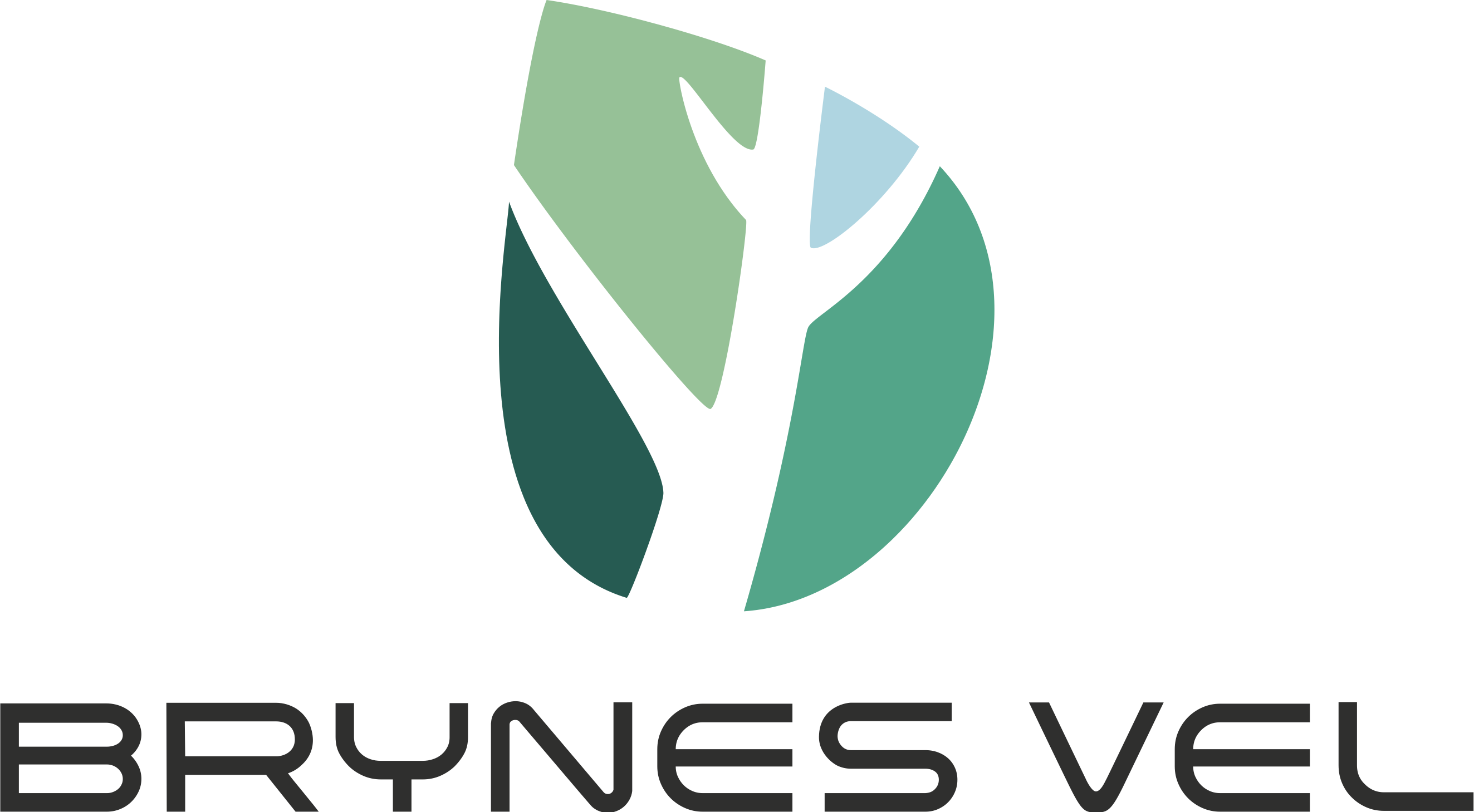 Brynes Vel logo